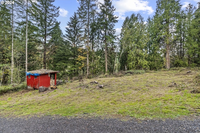 view of yard with a storage shed