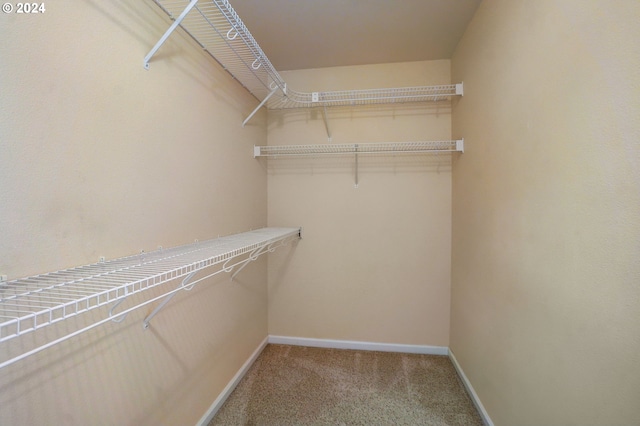 walk in closet featuring carpet flooring