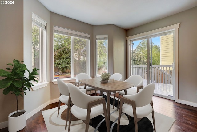 dining room featuring dark hardwood / wood-style floors