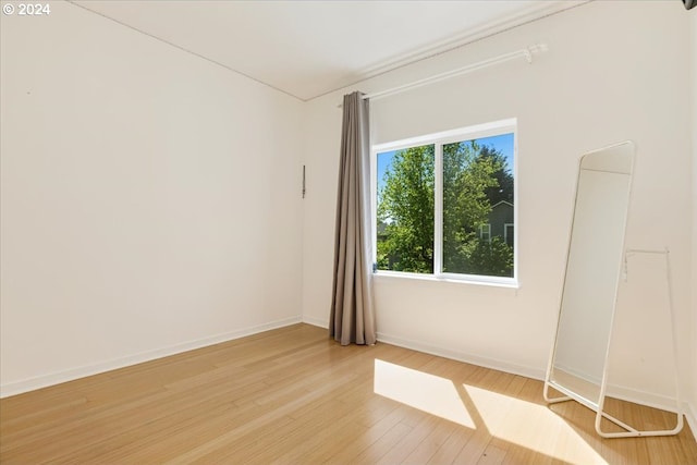 spare room featuring light hardwood / wood-style flooring