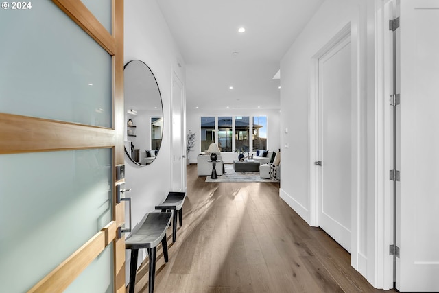 entrance foyer featuring wood-type flooring