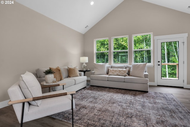 living room featuring hardwood / wood-style flooring and high vaulted ceiling