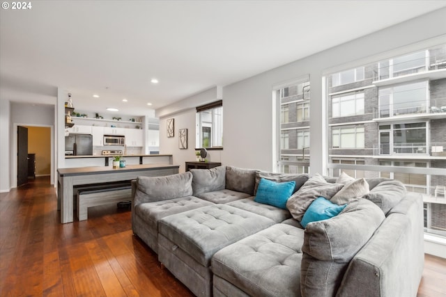 living room featuring dark hardwood / wood-style flooring