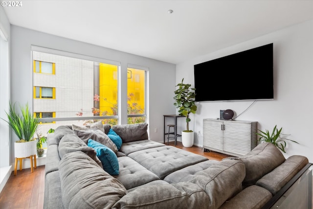 living room featuring hardwood / wood-style flooring