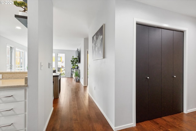 hall featuring dark wood-type flooring