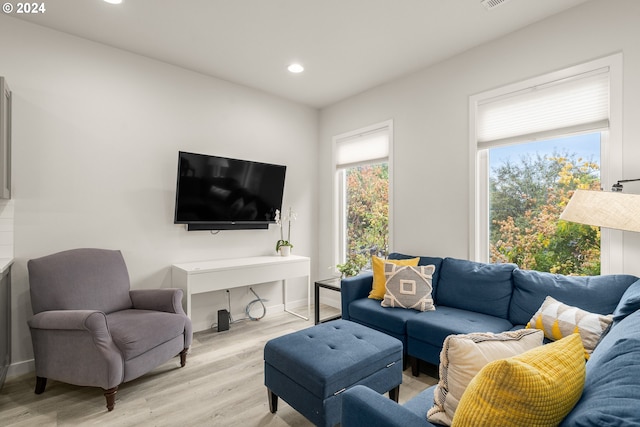 living room featuring light hardwood / wood-style floors