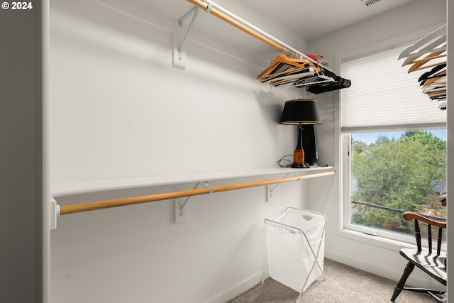 walk in closet featuring carpet flooring