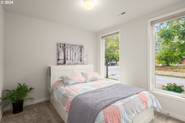 bedroom featuring carpet