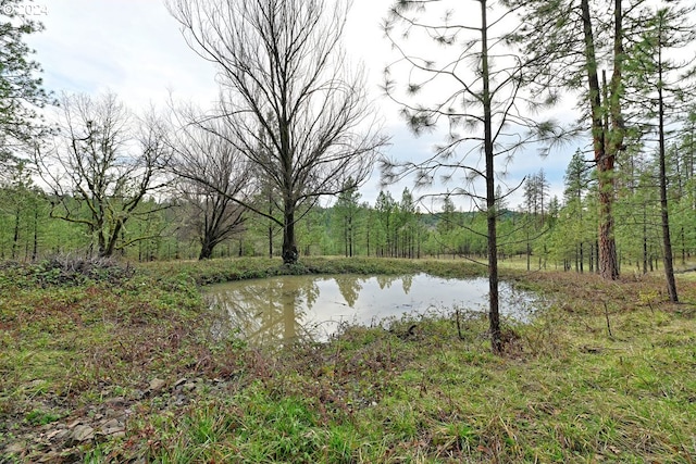 view of water feature