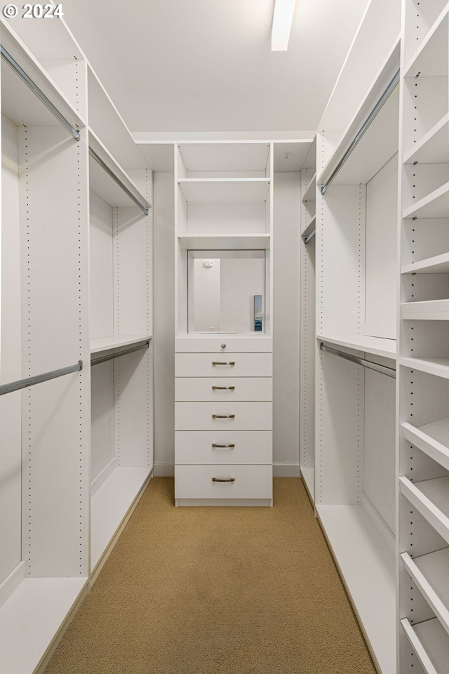 walk in closet with light colored carpet