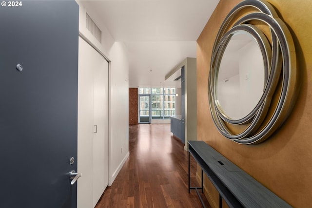 corridor featuring floor to ceiling windows and dark wood-type flooring