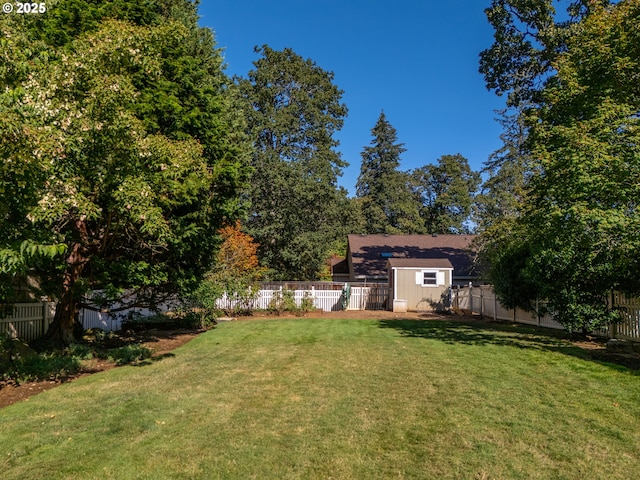 view of yard with a storage shed