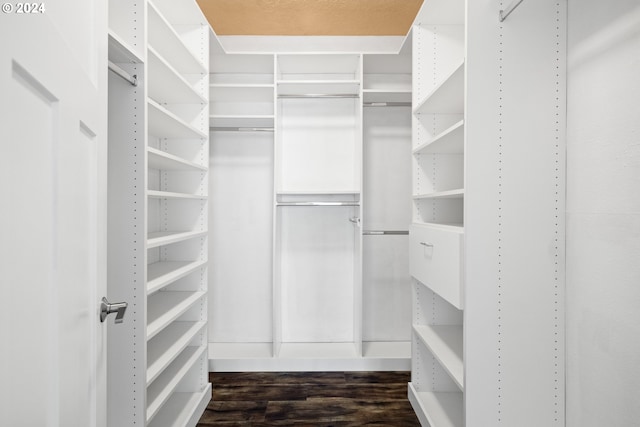 walk in closet featuring dark hardwood / wood-style flooring