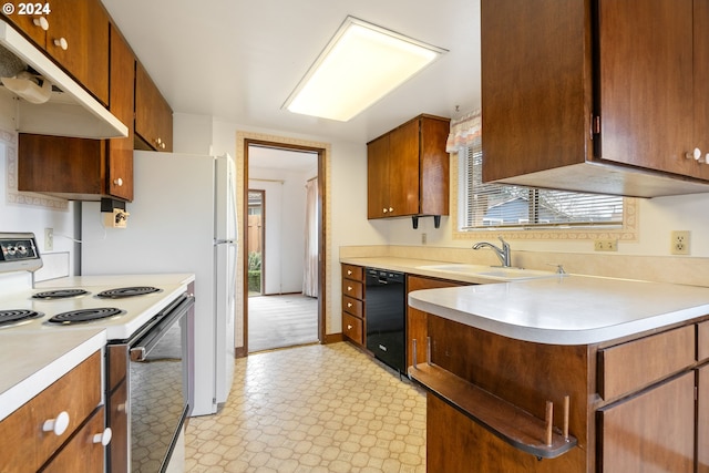 kitchen with sink, electric stove, and black dishwasher