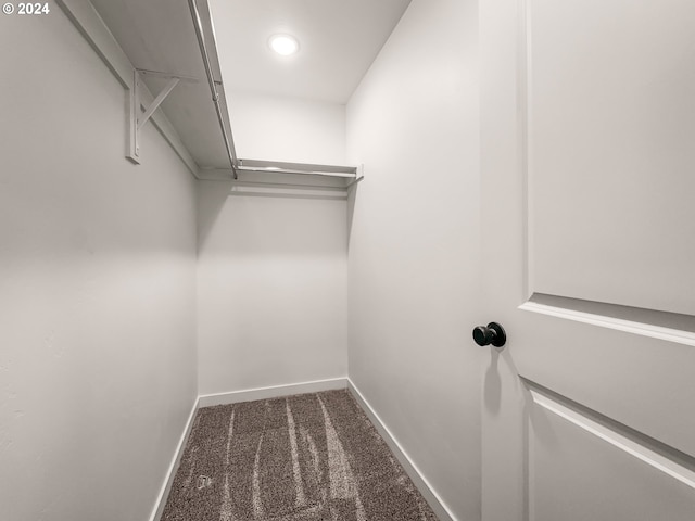 walk in closet with dark carpet