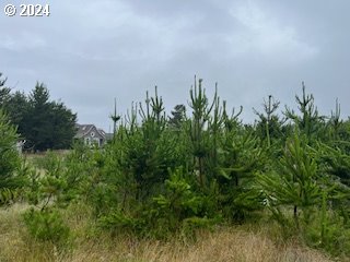 806 318th Pl, Ocean Park WA, 98640 land for sale