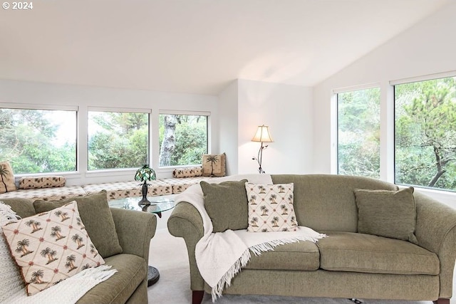 living room featuring carpet floors and lofted ceiling