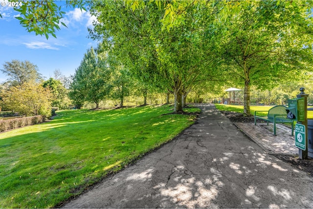 view of property's community with a lawn