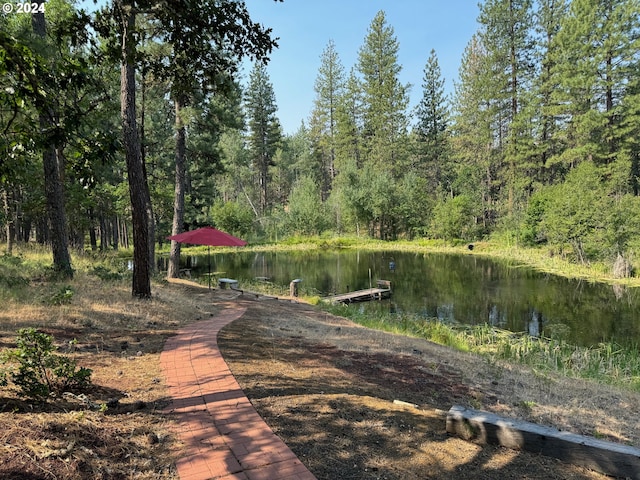 44 Justanother Rd, Goldendale, WA 98620 - dock area featuring a water view and a forest view