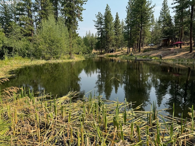 44 Justanother Rd, Goldendale, WA 98620 - water view
