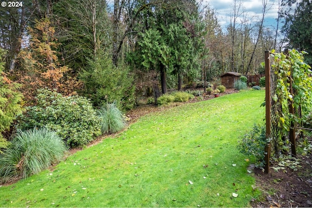 view of yard featuring a storage shed