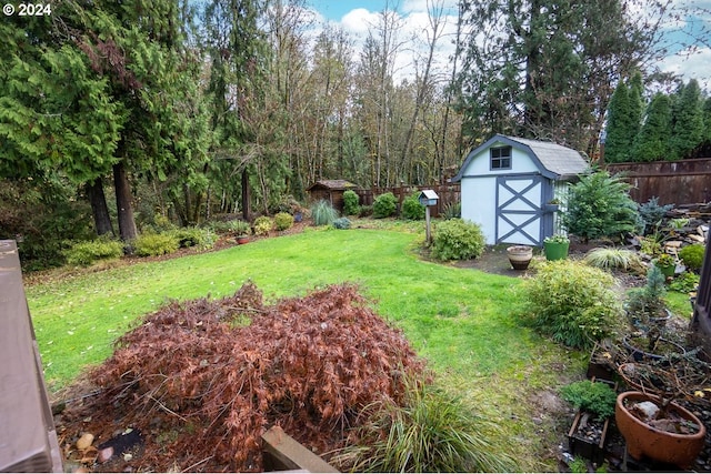 view of yard featuring a storage shed