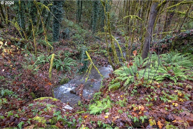 view of landscape