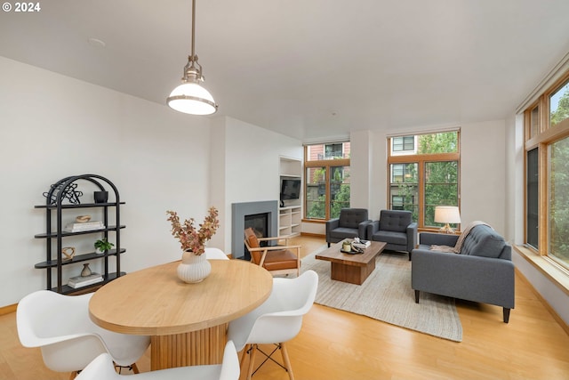 dining room featuring a healthy amount of sunlight and light hardwood / wood-style floors