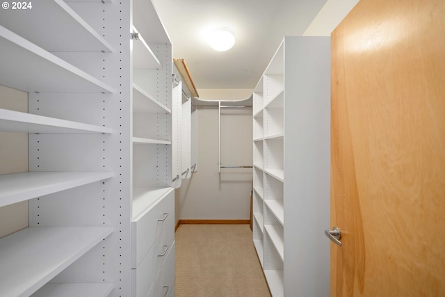 walk in closet with light colored carpet