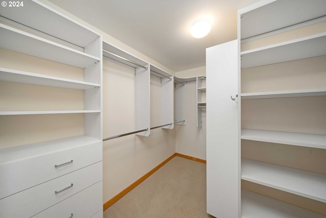 walk in closet with light carpet