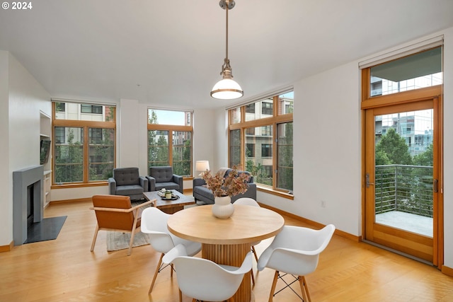 dining room with light hardwood / wood-style flooring and plenty of natural light