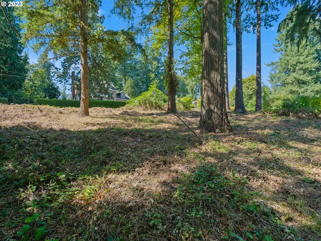 11000 S Collina Ave, Portland OR, 97219 land for sale