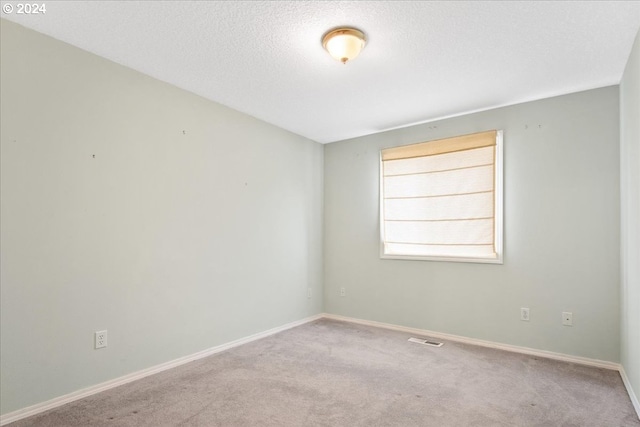 unfurnished room featuring a textured ceiling and light colored carpet