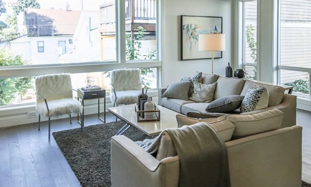 living room featuring hardwood / wood-style floors and a healthy amount of sunlight