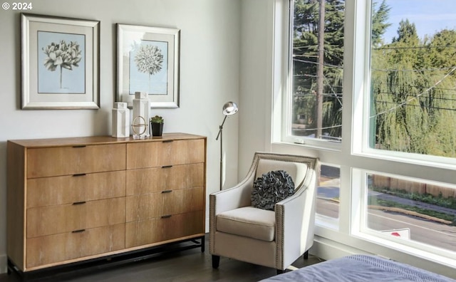 living area featuring dark wood-type flooring