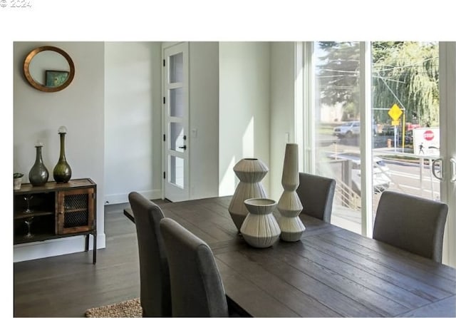 dining space featuring wood-type flooring