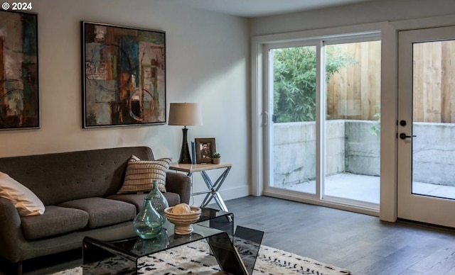 living room featuring hardwood / wood-style floors