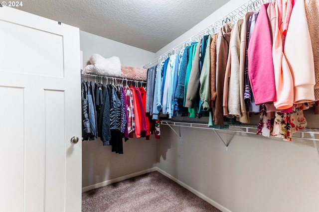 spacious closet with carpet