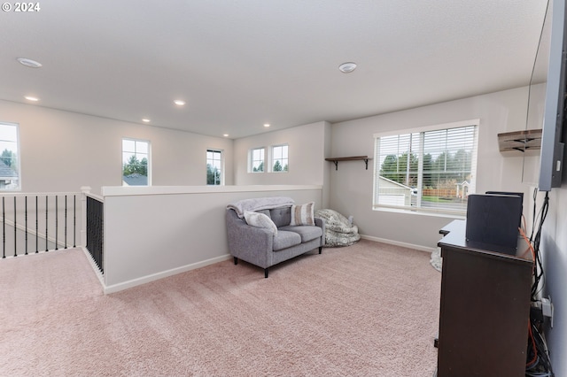 sitting room with carpet and a healthy amount of sunlight