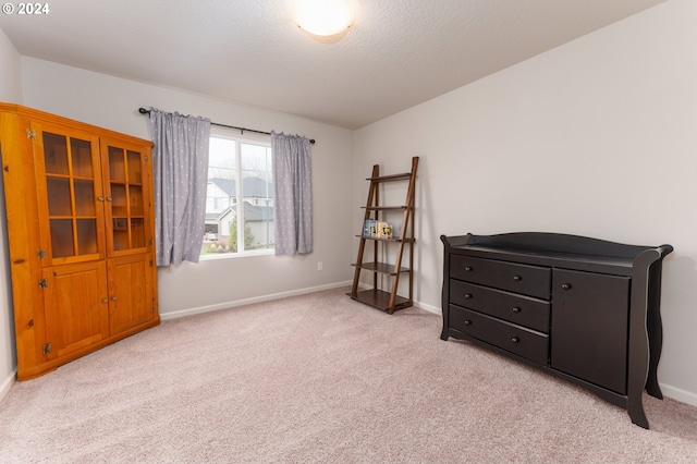 misc room with light carpet and a textured ceiling