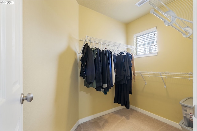 spacious closet featuring carpet