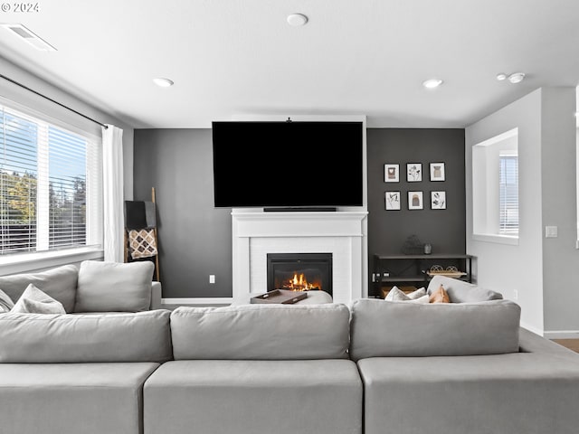 living room with a fireplace and hardwood / wood-style flooring