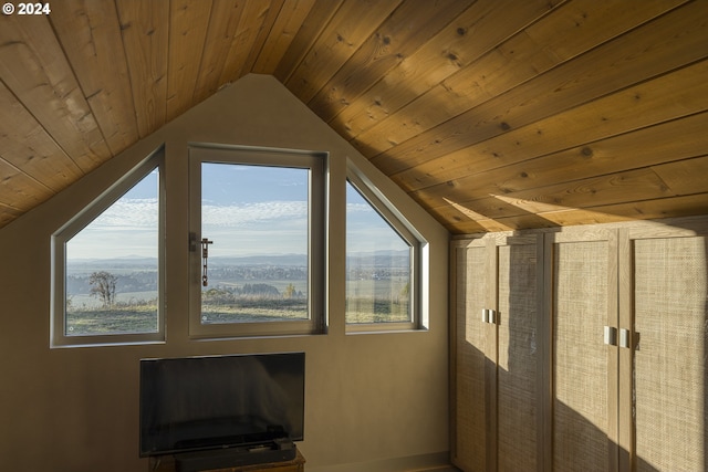 additional living space featuring a healthy amount of sunlight, wooden ceiling, and vaulted ceiling