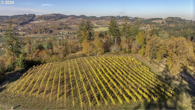 6850 SE Eola Hills Rd, Amity, OR 97101 - aerial overview of property's location with a mountainous background