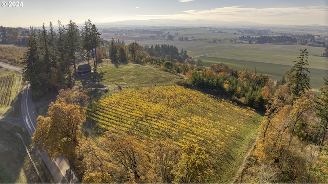 bird's eye view featuring a rural view