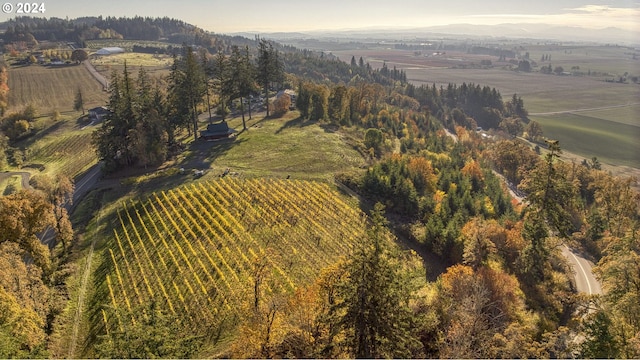 bird's eye view featuring a rural view