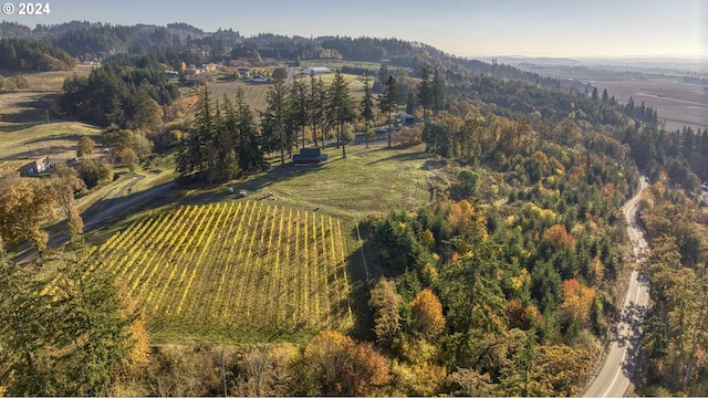 drone / aerial view featuring a rural view