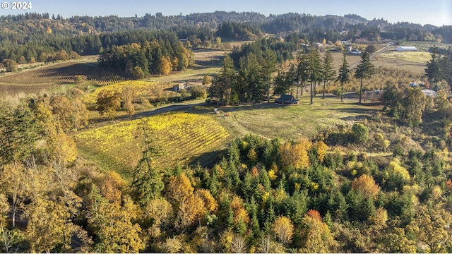 aerial view with a rural view