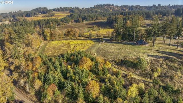 bird's eye view featuring a rural view