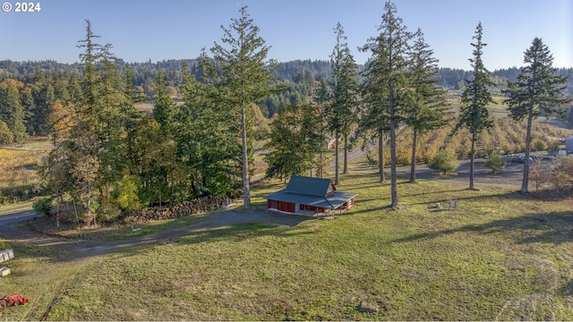 view of yard with a rural view